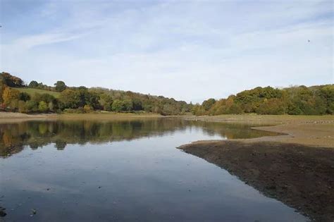 Police rush to Ardingly Reservoir after 50 people spotted carrying ...