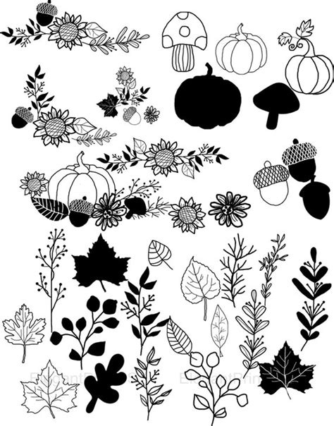 digital download Fall png Autumn Vector images Pumpkin clipart black and white line art Drawing ...