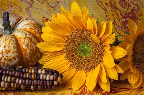 Fall sunflowers | ...beauty of the Earth | Pinterest