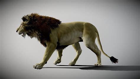 Lion animated - Buy Royalty Free 3D model by 3dartstevenz [62a279f ...