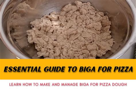 Essential guide to biga for pizza - Learn how to make biga pizza dough