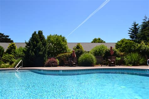 Sparking Pool at The Village Green | Cottage grove oregon, Cottage grove, Oregon hotels