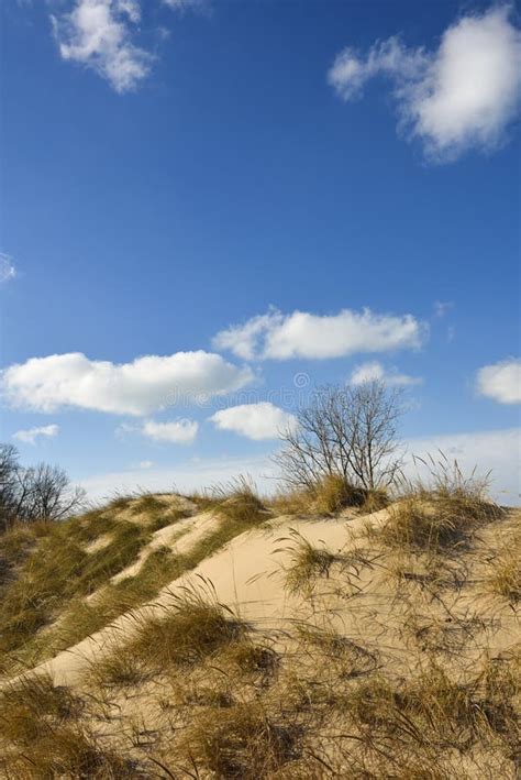 Indiana Dunes SP,early Winter Stock Image - Image of scenic, state ...