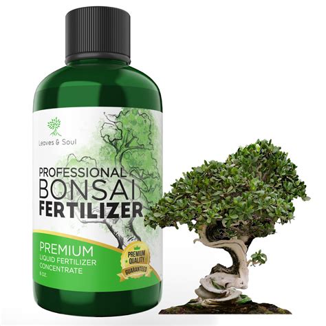 Best Fertilizer for Bonsai Trees: A Comprehensive Guide - Foliage ...