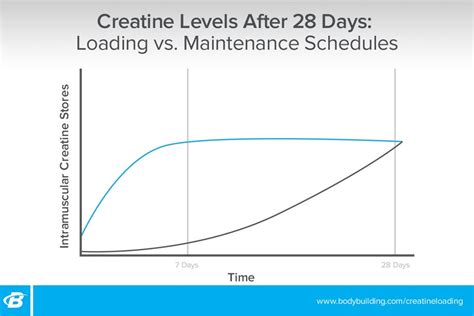 Do I Need To Load With Creatine?