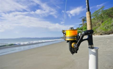 5 Best Surf Fishing Reels - Fishing Tackle Hub