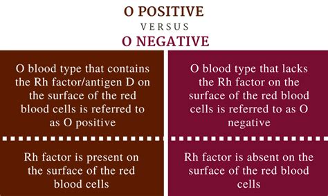 Is O positive or O negative Better?