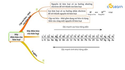 13. Dãy điện hóa của kim loại