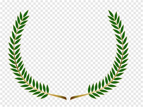 Laurel wreath Bay Laurel, leaf, gold png | PNGEgg