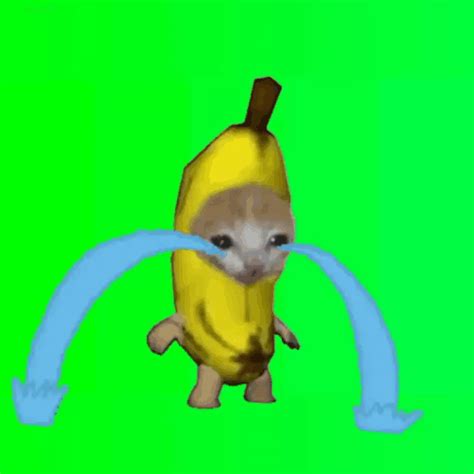 Banana Cat Gif - IceGif