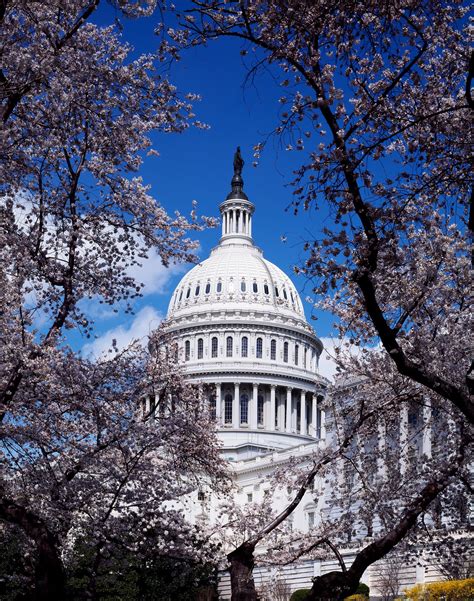 U.S. Capitol Building Dome, Washington D.C. Original image from Carol .. | Free public domain ...