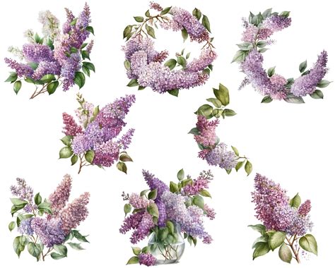 Watercolor Lilac Clipart, Watercolor Lilac, Purple Lilacclipart ...