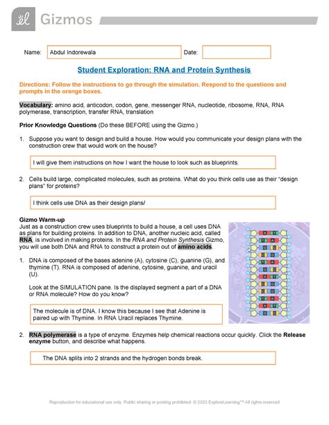 Protein Synthesis Review Worksheet Answers