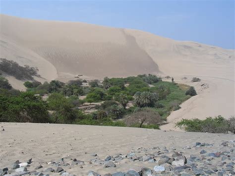 Free photo: desert, peru, oasis, sand, trees, nature, mountain | Hippopx