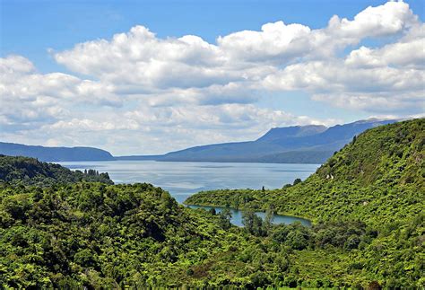 Tarawera Lake And Mountain Photograph by Steve Clancy Photography - Fine Art America