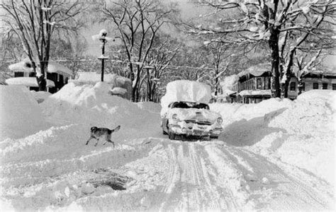 Scene from a snow storm in Oswego, New York, that dropped over 6 feet ...