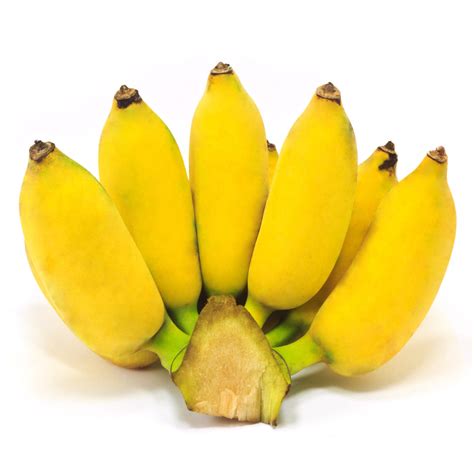 Fresh Thai Bananas (nam wa) about 1kg - Imported Weekly from Thailand – Thai Food Online ...