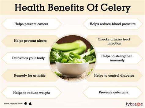 Benefits of Celery And Its Side Effects | Lybrate