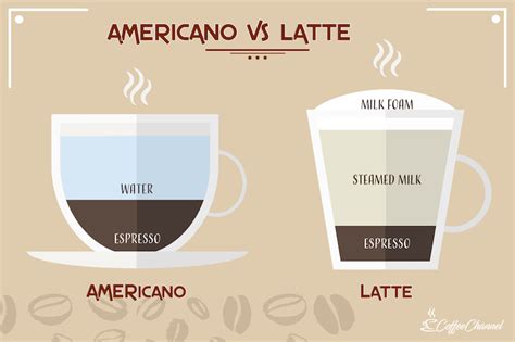 Americano vs Latte: The Differences Explained | Coffee Affection