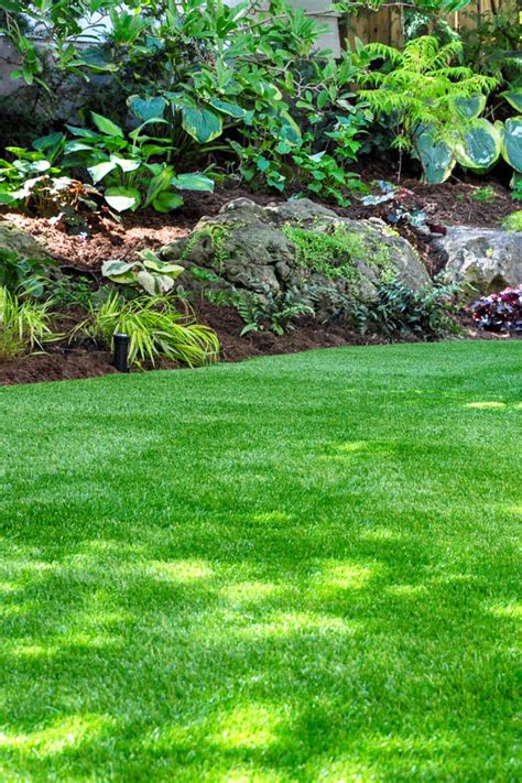 Wintergreen Couch | Greenfields Turf Farm and Bullsbrook Turf Supplies