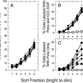 Relative fluorescence intensity of pimonidazole (Pimo) -labeled tumor ...