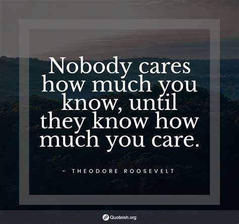 25+ No One Cares Quotes - QUOTEISH