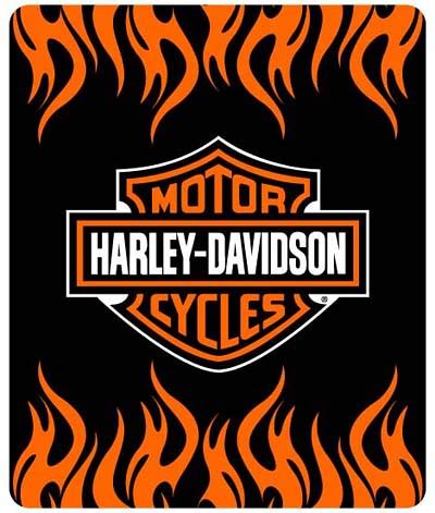 Harley-Davidson_1 | Harley-Davidson | MateusZF Mateus Záccaro | Flickr