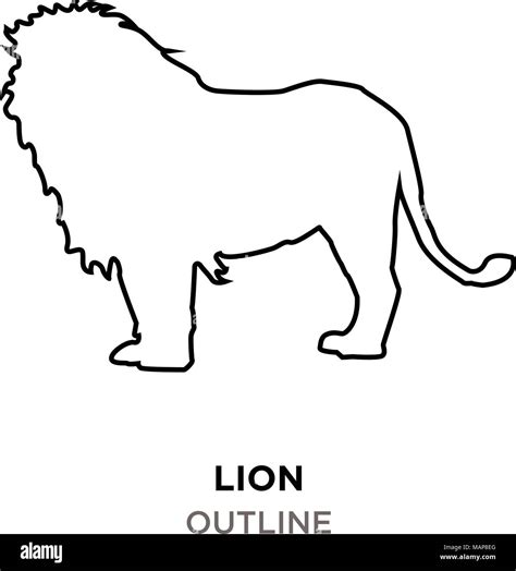 lion outline images on white background Stock Vector Image & Art - Alamy