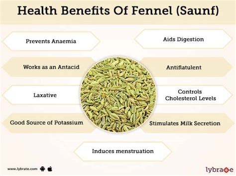 Fennel (Saunf) Benefits And Its Side Effects | Lybrate