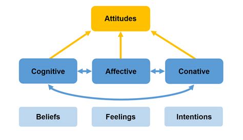 Do Attitudes Predict Behavior? – MeasuringU