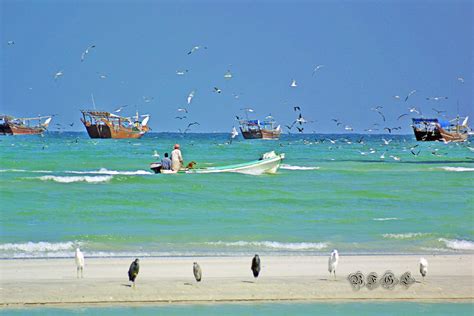 Fishing in Duqm - Oman by BFGL on DeviantArt