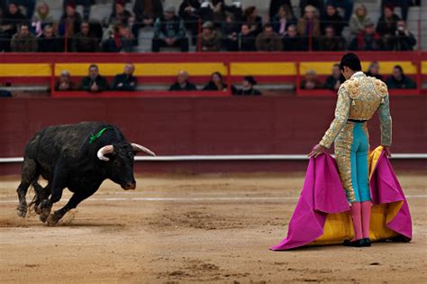 Bullfighter Dressed In Ornate Costume With Bull Charging Stock Photo ...