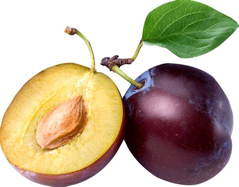 Download Plum Png Image HQ PNG Image | FreePNGImg