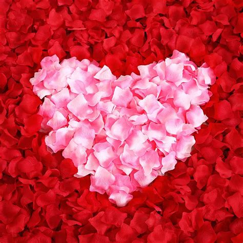 Sky Elina 3000 Pieces Artificial Rose Petals Wedding Decorations Celebrations Party Supplies ...