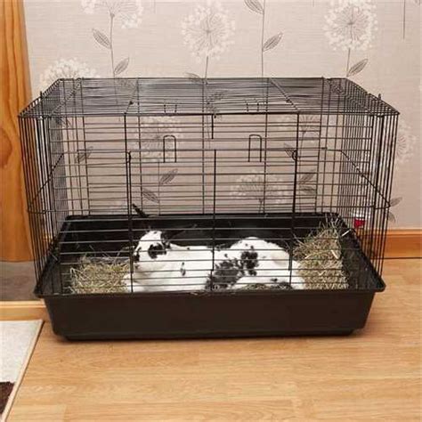 2 Door Indoor Dwarf Rabbit Cage by PetPlanet - W81 x H58cm | Free UK Delivery