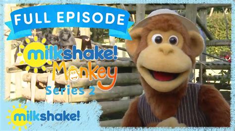 Milkshake! Monkey | Zoo Keeper | Full Episode - YouTube