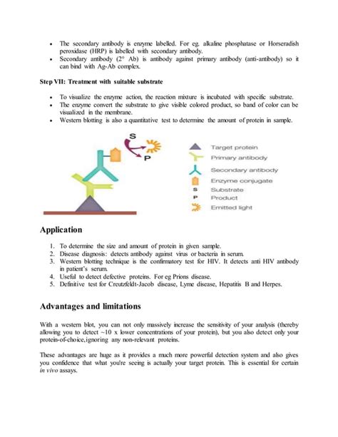 Different Molecular Techniques