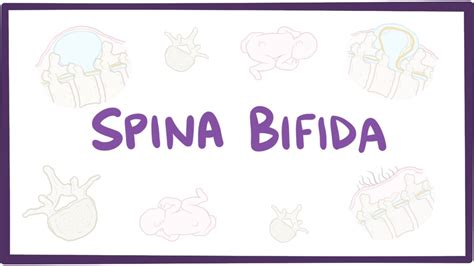 Spina bifida (myelomeningocele, meningocele, occulta) - causes ...