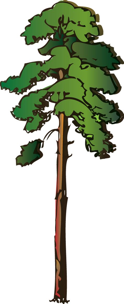 Acacia Tree Clip Art - ClipArt Best