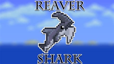 How to get the Reaver Shark fast and easy!! Terraria 1.3 - YouTube