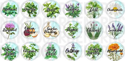 Herb Jar Labels for Lids, Glass, or Plastic Sheet of 18 Mason Jar/ Herb ...