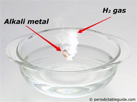 Where are Alkali Metals located on the Periodic Table? (2022)