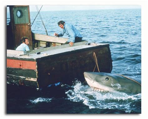 (SS3498508) Movie picture of Jaws buy celebrity photos and posters at ...