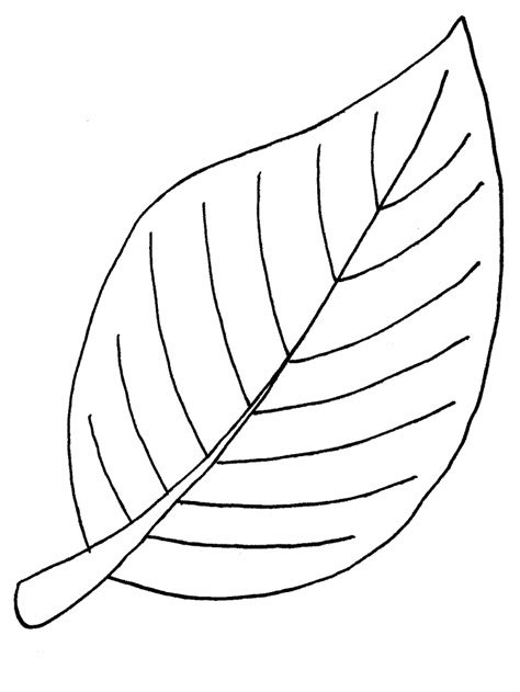 Free coloring pages of leaf