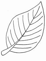Free Fall Leaf Coloring Pages sketch template