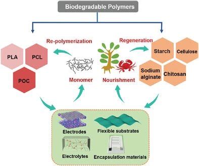 Biodegradable polymers show promise for future green supercapacitors