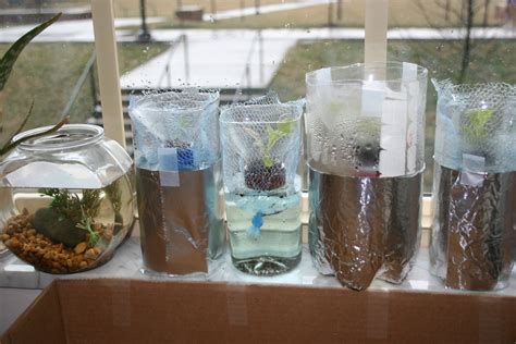 Hydroponic Lettuce Garden From Plastic Bottles (Grow Bottles) : 11 Steps (with Pictures ...