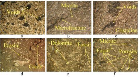 An example of thin sections related to the studied limestone at the ...