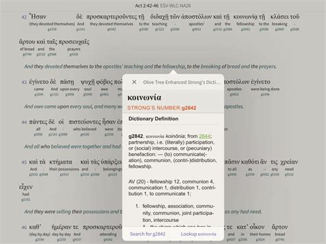 Interlinear Bibles in the App - Olive Tree Blog