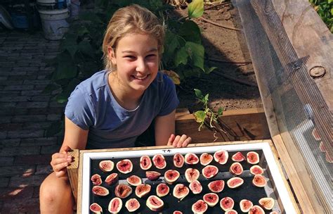 DIY: Solar dehydrator - Renew